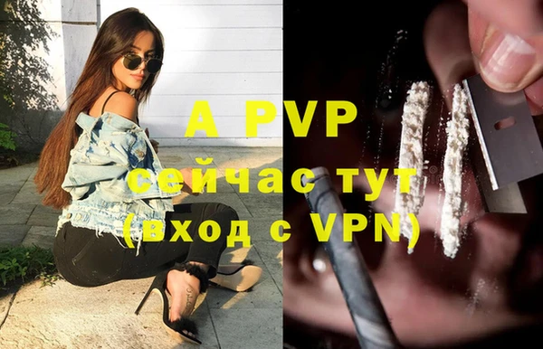 прущая мука Инта