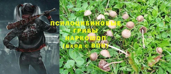 спиды Иннополис