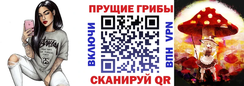 Купить где Аргун Галлюциногенные грибы мицелий